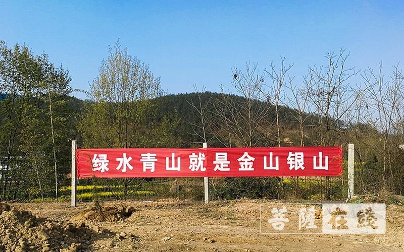 陕西省汉中市民宗局局长张敏一行在法幢寺开展义务植树活动
